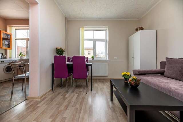 Апартаменты Compact apartment near Food Market in the Oldtown Клайпеда-38